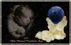 1017 Blue Tsarevich Egg